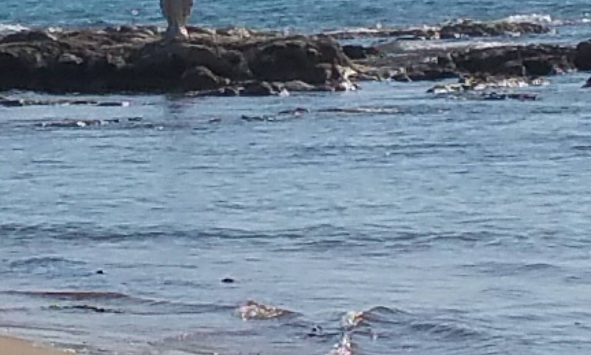 Siculiana Apartment | Sole Mare E Relax for Dream Holidays