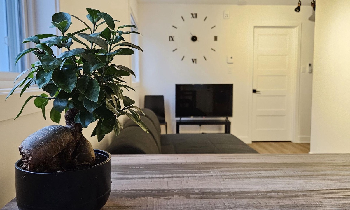 Rawdon Apartment | The Rawdon Queen #6