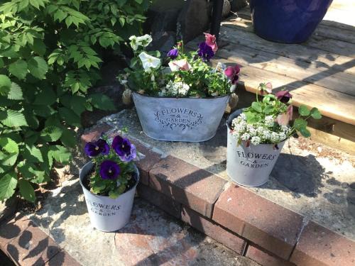 Wolfville Bed & Breakfast | The Stella Rose B&B