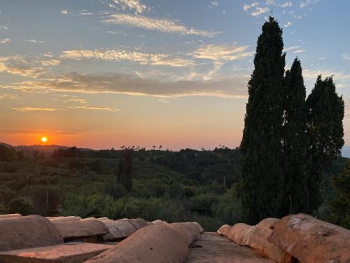 Casciana Terme Lari Apartment | Tony's Home