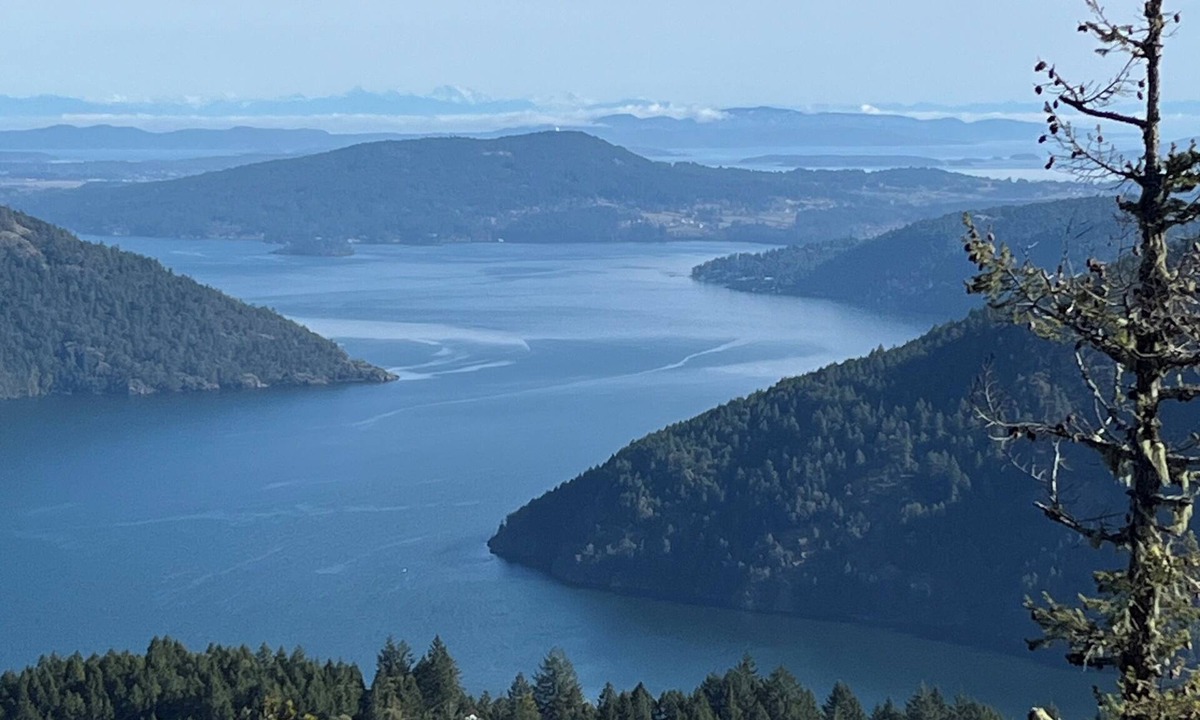 Malahat House | Unbeatable views/sunrises, spacious, hiking, sightseeing, wildlife.