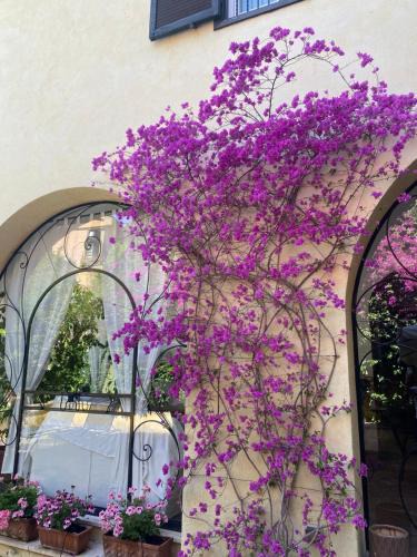 Torre Gaia Bed & Breakfast | Villa Orsini