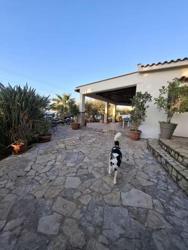 Termini Imerese House | Villino Eurako, villa in riserva naturale in montagna, a 5 Min dal mare