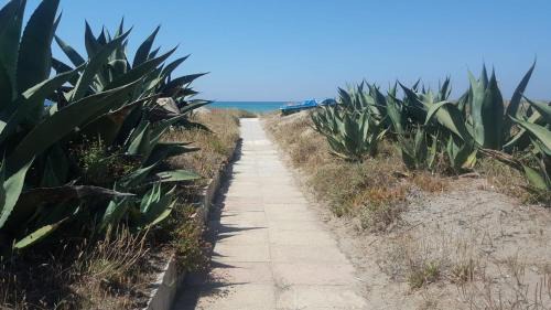 Ardea House | Villino Fronte Mare
