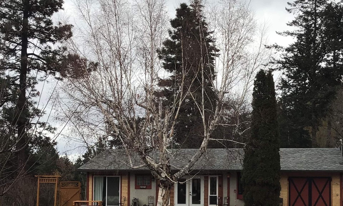 West Kelowna Estates House | WELCOME! FULLY FURNISHED PRIVATE Central location GOLF BEACH WINERIES ⛷️3 HIL