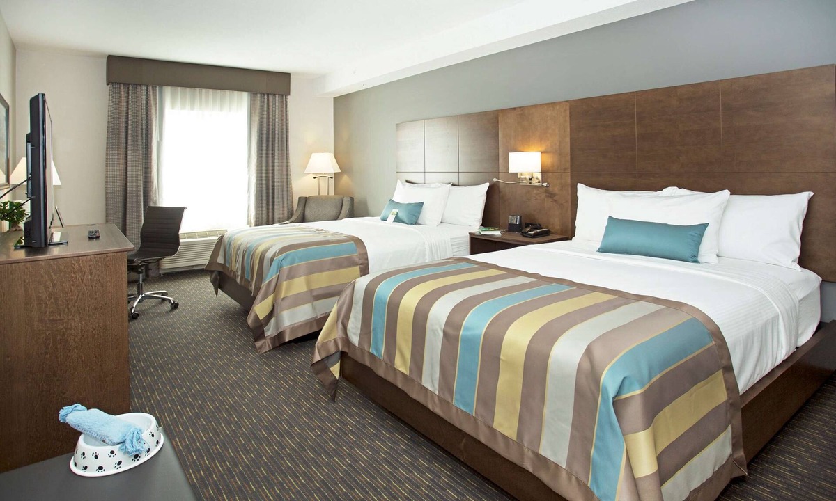 Calgary Hotel | Wingate By Wyndham Calgary Airport