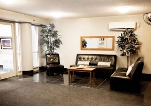 Prime Location! 4 Relaxing Units, Near Old Port, Place des Arts, Notre Dame