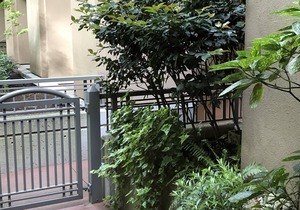 Private West Coast Townhouse Downtown in Coal Harbour - Walk to FIFA