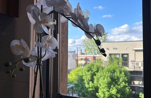 Plateau Mont Royal Apartment | 2 Bedrooms,1 Sofa bed and 1,5 Bathrooms,Renovated Apartment Plateau Mont-Royal