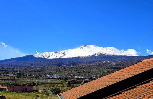 Coste House | A Casa di Nonna
