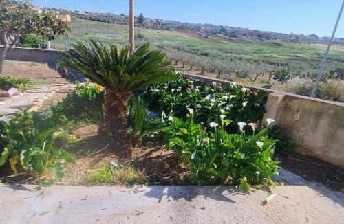 Trapani House | Adamo Flat