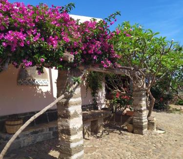 Ustica House | Agriturismo Hibiscus