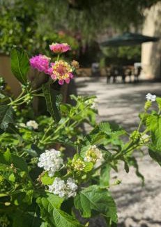 Castelluzzo House | Al Civico 365