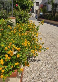 Castelluzzo House | Al Civico 365