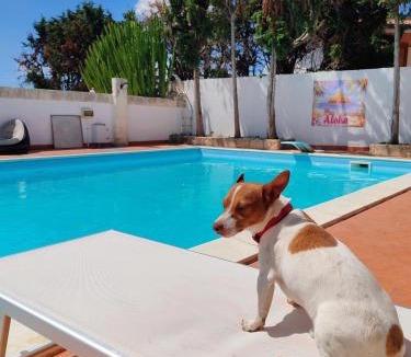 Capo Peloro House | Aloha Village - Bed&Pet