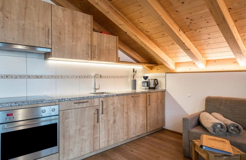 Santa Maddalena Apartment | Apartment 'Feldererhof Apt Dolomitenblick' with Mountain View, Shared Garden and Wi-Fi