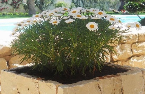 Donnalucata Apartment | Apartment in Donnalucata with Common Pool