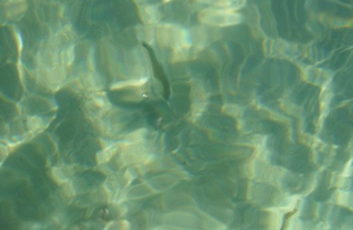 San Vito Lo Capo Apartment | Apartment in Residence at Selly Mill for families and adult couples