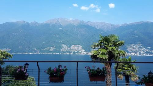 Pino Lago Maggiore Apartment | Apartment with Panoramic Lake View & Terrace in Pino, Lago Maggiore - Casa Roccia No 7