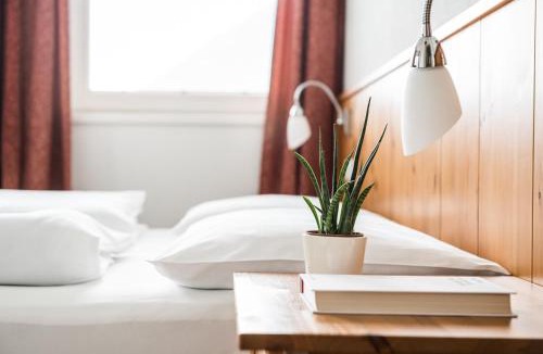 Sand in Taufers Apartment | Apartments Mühlegg