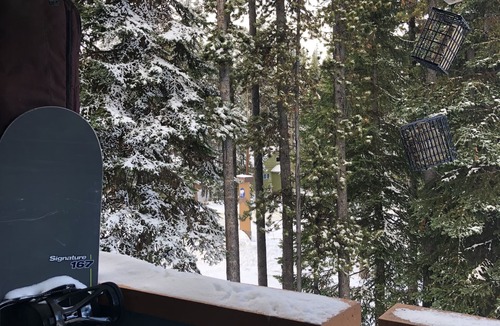 Apex Mountain Condo | APEXICO2 - Two bedroom condo at Apex Mountain in Strayhorse Condo building