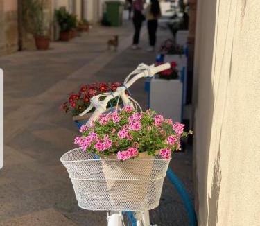San Vito Lo Capo Apartment | APPARTAMENTO 21