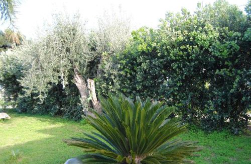 Carini House | Appartamento uso turistico Villa Barbara
