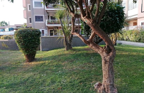 Torre Gaia Apartment | At 20min from the center of Rome in Tor Vergata area Apartment opposite Metro C
