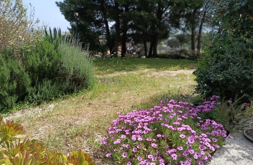 Buseto Palizzolo Bed & Breakfast | B&B Baglio Ferlito