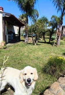 Ioppolo Giancaxio Bed & Breakfast | B&B Della Via Francigena