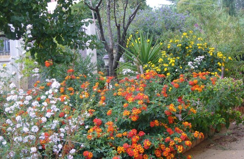Caltanissetta Villa | B&B S. ELIA ORANGE room: ENCHANTING VILLA IMMERSED IN THE HISTORICAL PARK DUBINI
