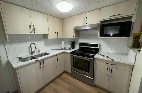 Evanston Apartment | Basement suit