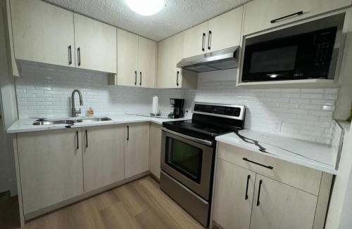Evanston Apartment | Basement suit