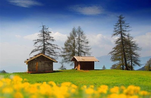 San Genesio Atesino Apartment | Beautiful studio near Bolzano - forest view, right on the European long-distance trail
