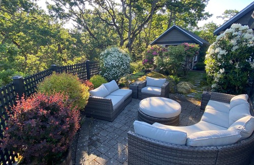 Saanich East Apartment | Beautiful views, quiet space