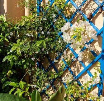 Termini Imerese Apartment | Bella Vista Sant Orsula 2 bedroom View Terrace Historic Center Spacious Apartment