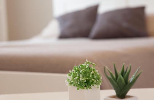 Rilievo Bed & Breakfast | Bianco Sale Trapani