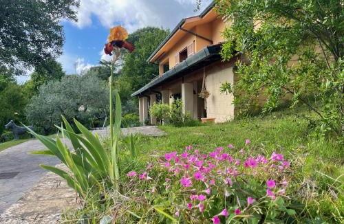 Fonte Nuova House | Botanea Guest House