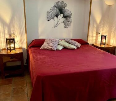 Tracino Apartment | Bouganville-La Casa Dei Fiori
