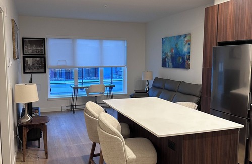 Yorkson Condo | Brand new condo in heart of Willoughby Town Centre Langley BC