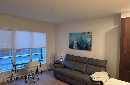 Yorkson Condo | Brand new condo in heart of Willoughby Town Centre Langley BC