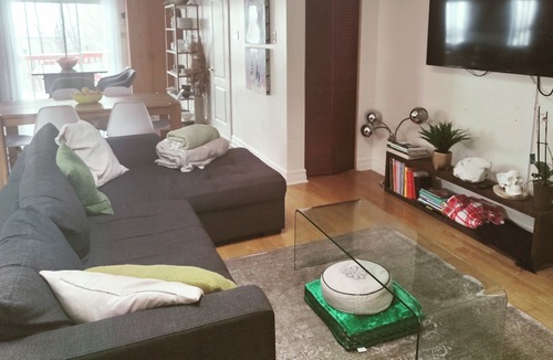Hochelaga Apartment | Bright and spacious 3 Bedrooms with Terrace