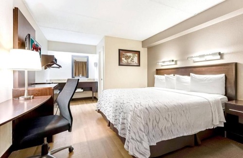Charleston Hotel | Budget-Friendly Stay Perfect for Charleston Explorers