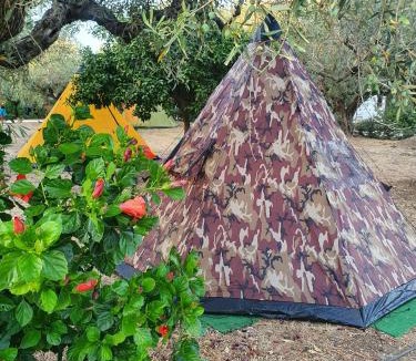 Marinella di Selinunte Other | camping a selinunte (Relax fra gli ulivi)