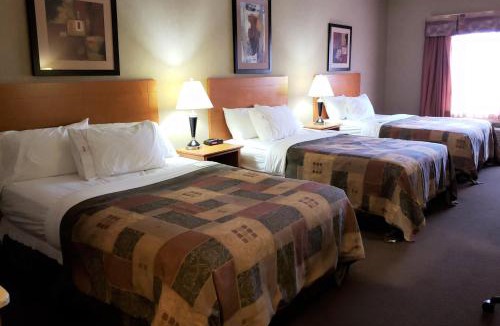 Stettler Hotel | Canalta Hotel Stettler