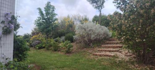 Aprilia Bed & Breakfast | Casa Cardea