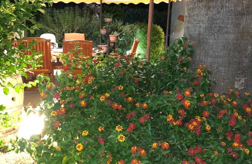 Marsala House | Casa Parrinello with garden