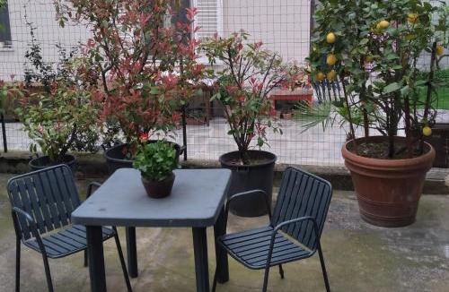 Monsummano Terme House | Casa Tesi
