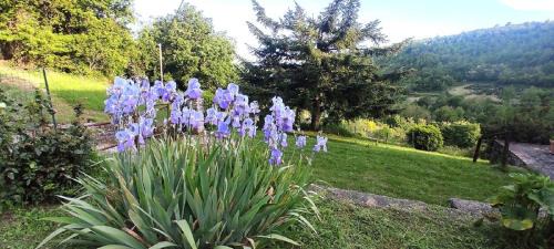 Stia Apartment | Casa Titina Riposo e Relax nella campagna toscana