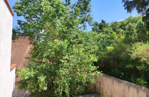 Pollina House | Casa vacanze MareMonti
